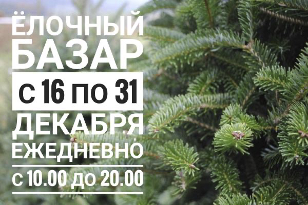 Минский лесхоз открывает ёлочный базар с 16 декабря